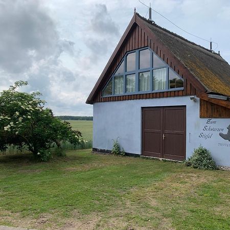 Zum Schwarzen Stiefel- Ferienwohnung Atelierhaus Rankwitz Eksteriør billede