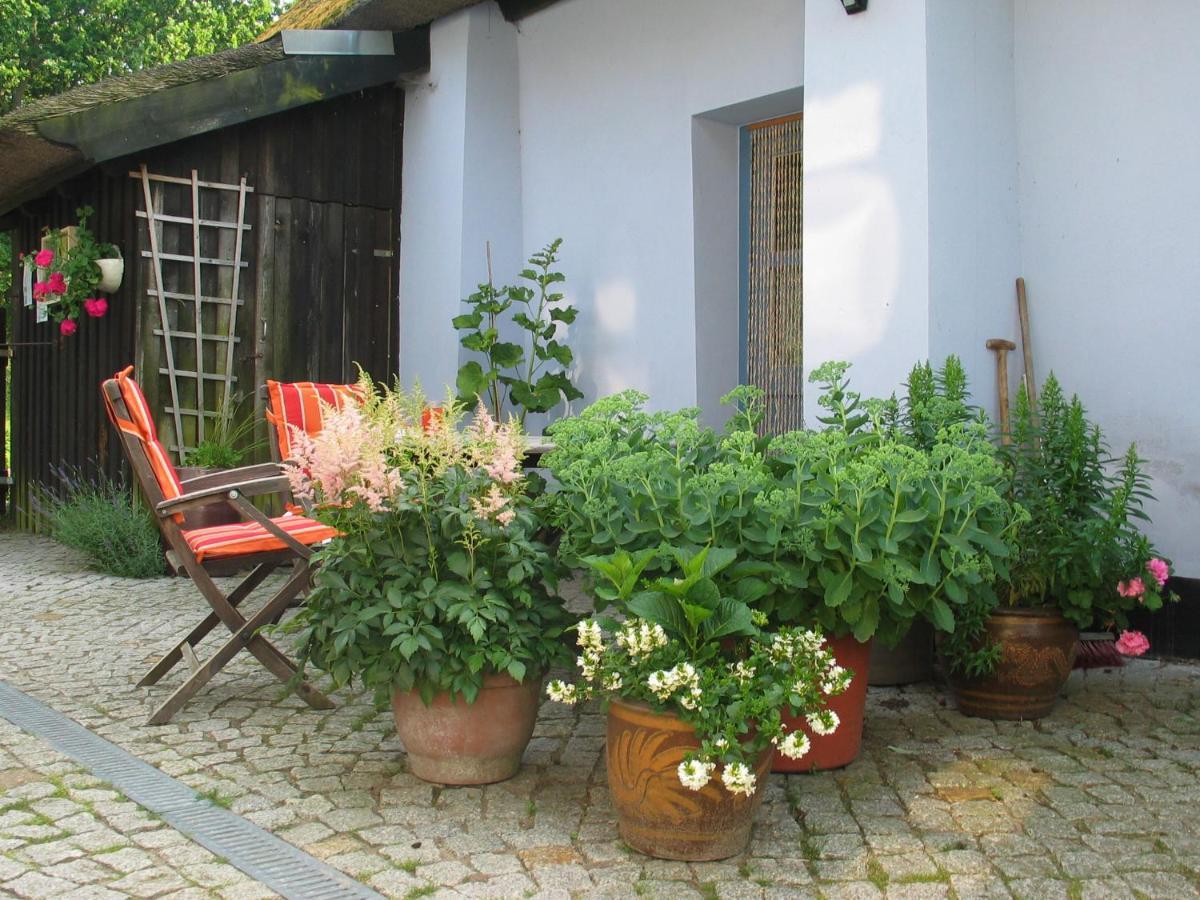 Zum Schwarzen Stiefel- Ferienwohnung Atelierhaus Rankwitz Eksteriør billede
